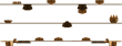 The calture