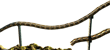 The railroad